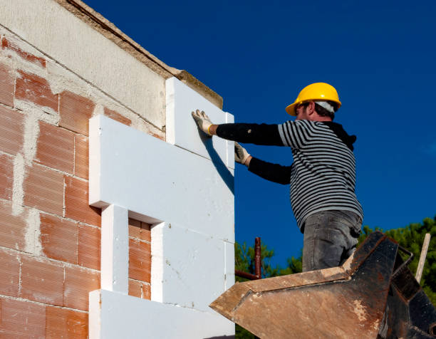 Best Cellulose Insulation in Rogersville, MO
