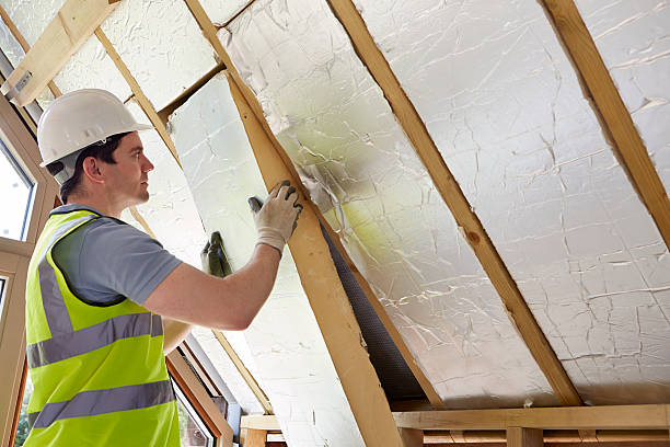 Best Energy Efficiency Insulation in Rogersville, MO
