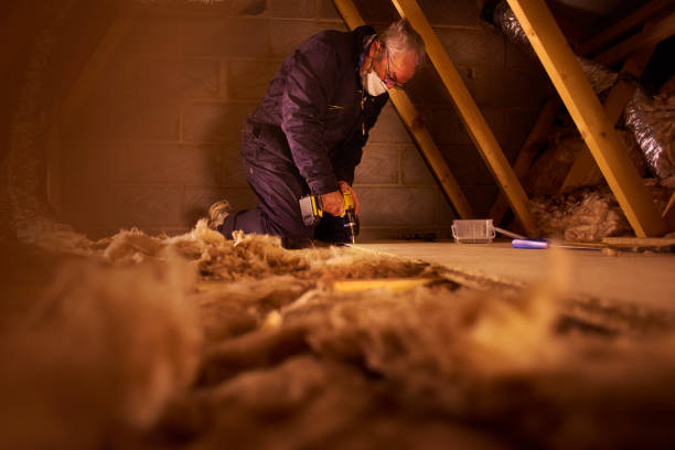 Best Energy Efficiency Insulation in Rogersville, MO