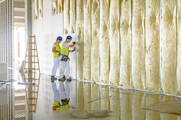 Types of Insulation We Offer in Rogersville, MO